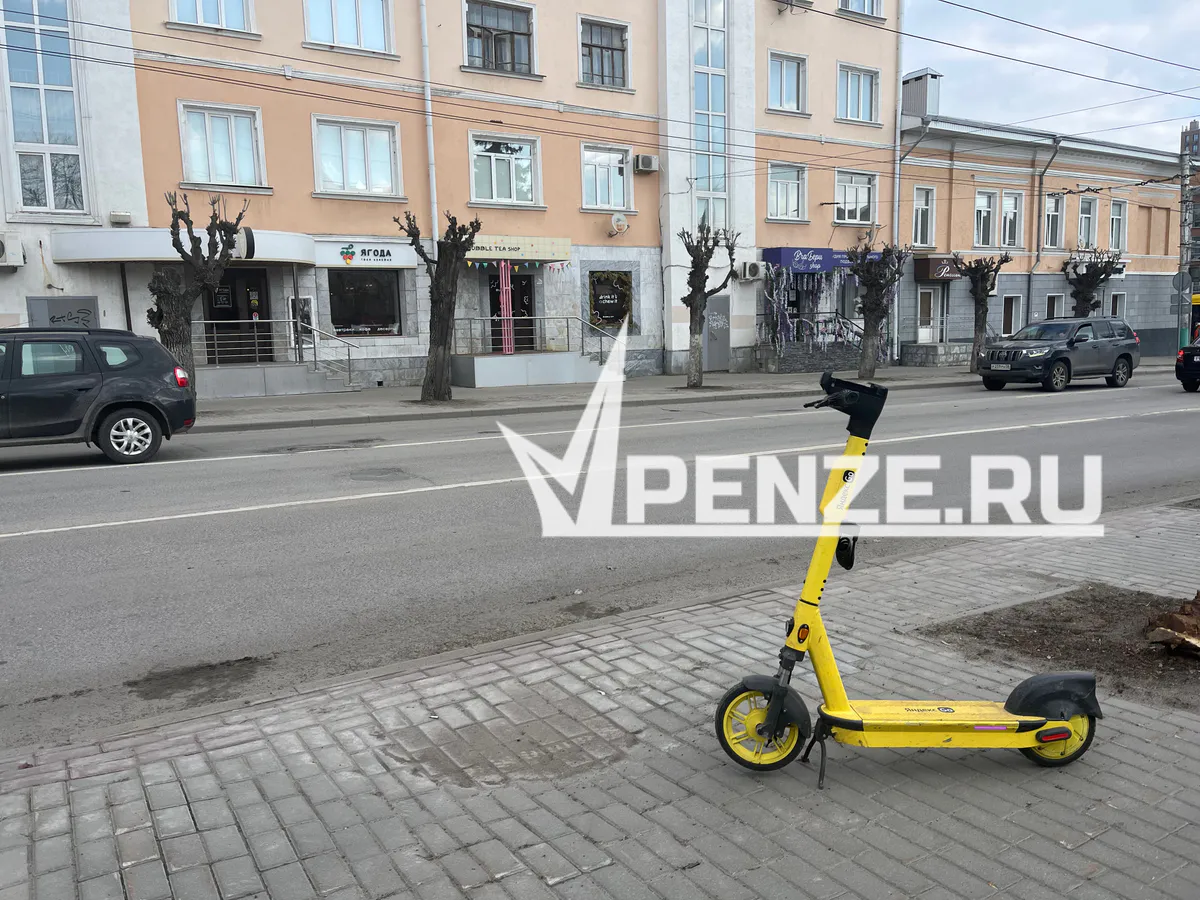 Глава Пензы просит навести порядок в сфере кикшеринга