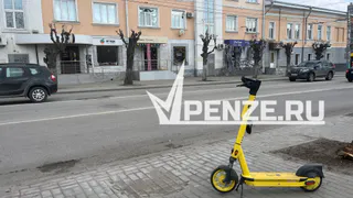 Глава Пензы просит навести порядок в сфере кикшеринга