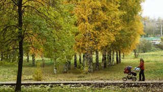 В Рязани в 2018 году обустроят четыре парка