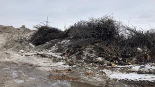 Придётся терпеть: мусорный полигон на окраине Рязани не закроют ещё четыре года