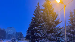 Рязанские заключенные изготовят оборудование для городского парка