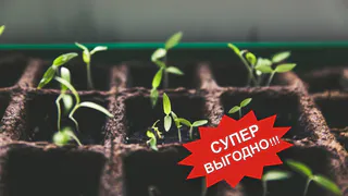 Гипермаркет "МАЯК" - рассада и другие материалы по супер-ценам