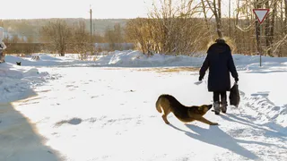 От 60 лет и старше: пенсионеров ждет новая льгота с 5 марта