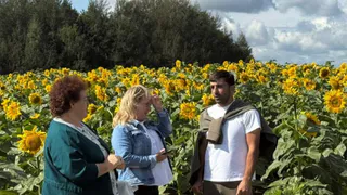 450 гектаров подсолнечника засеяли в Юрьев-Польском районе