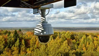 Более 80% лесных пожаров в области засечено системой «Лесохранитель»