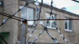 Рязанский депутат сядет за сбитого пешехода