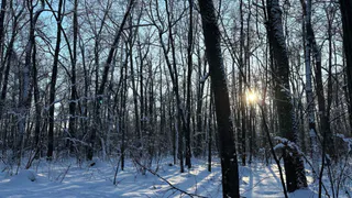 В Окском заповеднике зафиксирован погодный рекорд