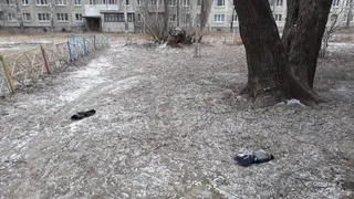 Падеж птиц продолжается: на Новоселов нашли очередные тела