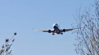 Белорусский самолет приземлился в Рязани. Что-то случилось?