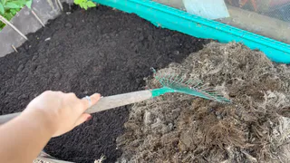 Сгребаю сухую траву, ботву и листья в 3 места на огороде. Весной каждая кучка будет радовать