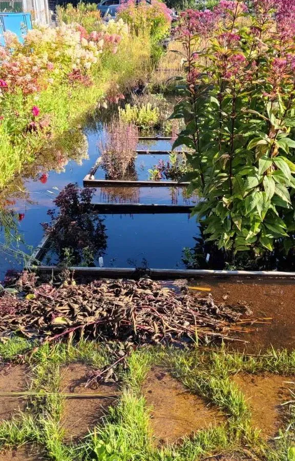 Под Челябинском топит элитный поселок «Родной»