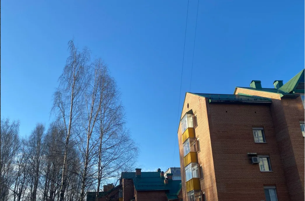 6 апреля в Заполярье Коми ударят морозы до -12°, а центр прогреется до +9°