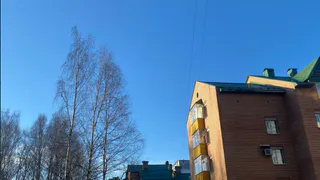 6 апреля в Заполярье Коми ударят морозы до -12°, а центр прогреется до +9°