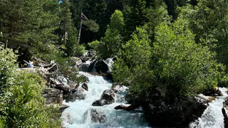 «Раем бы я Абхазию не назвала, но...»: туристка из РФ нашла место, где риск заражения ротавирусом исключен