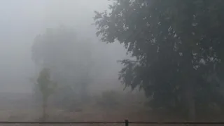 Жители Рязанской области 11 сентября пожаловались на задымление из-за пожаров