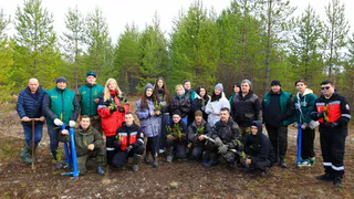 В Усинске экологи ЛУКОЙЛ-ПЕРМИ высадили около 1500 молодых елей