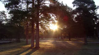 Во Владимире 1 мая пройдут праздничные мероприятия в парках