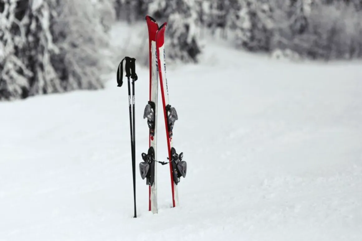 В Центральном парке Владимира праздники завершат “Староновогодними гонками”