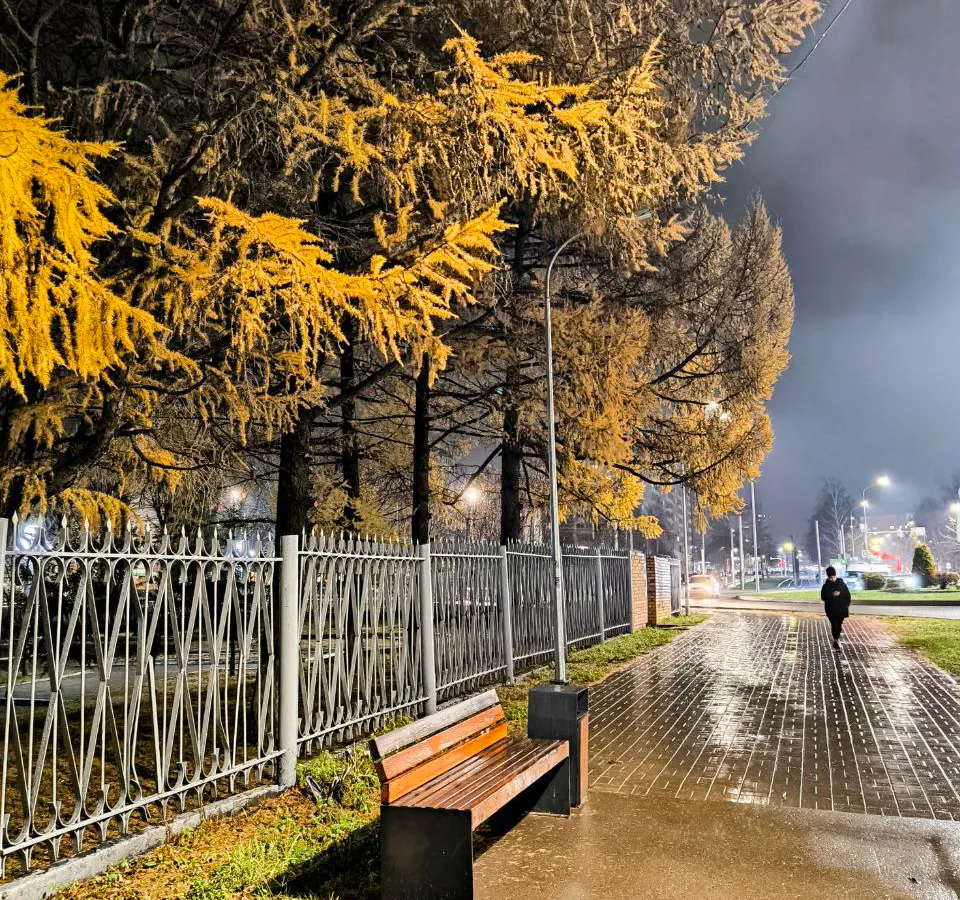 21 ноября в Нижнекамске будет пасмурно