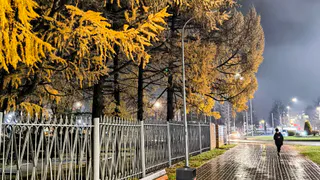 21 ноября в Нижнекамске будет пасмурно