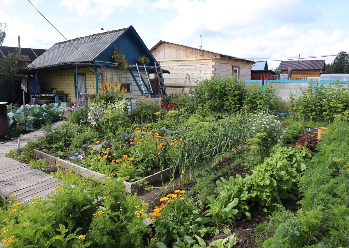 Указ подписан: с 6 июня начнут забирать землю — всех, у кого участок или дача в собственности, ждет новое правило