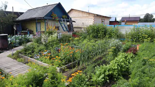 Указ подписан: с 6 июня начнут забирать землю — всех, у кого участок или дача в собственности, ждет новое правило