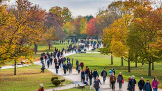 «10 000 шагов к жизни»: нижнекамцев приглашают присоединиться к масштабной акции