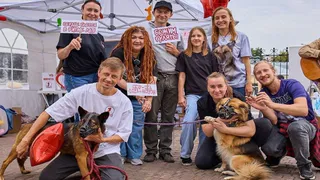 Фестиваль «Рок в защиту животных» объединил музыкантов и волонтёров региона