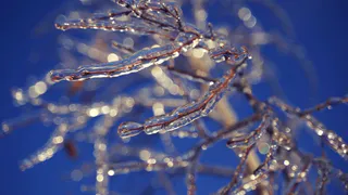 Уже завтра: в воскресенье в Рязанской области выпадет снег