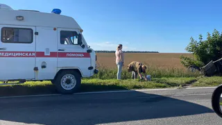 В Пронском районе в ДТП Nissan перевернулся на крышу, Haval вылетел в поле