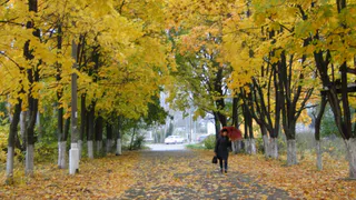 Глюкофон избавляет от осенней депрессии