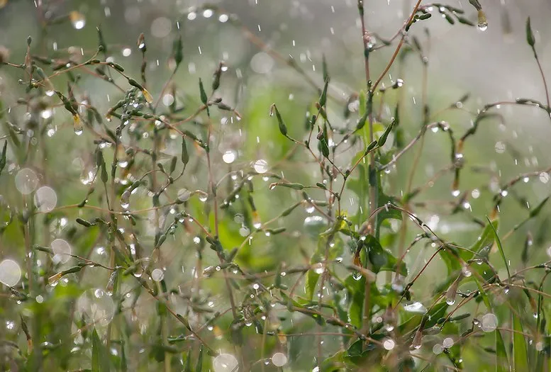 На Татарстан надвигаются дожди