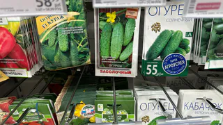 Успел купить 7 пачек огурцов, которых в декабре уже не будет в продаже. Настоящие хиты года среди огурцов
