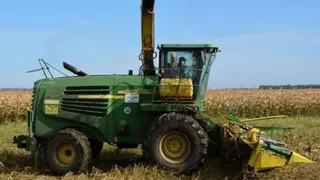 Рязанская область получит 171 млн рублей на поддержку производителей зерновых культур