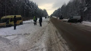 Стали известны подробности ДТП с детским автобусом под Навлей
