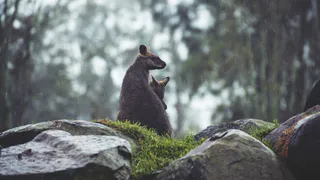 В воскресенье в Рязани будет тепло, но дождливо