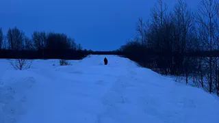 Жители Ухоловского района остались без еды и медпомощи из-за заснеженной дороги