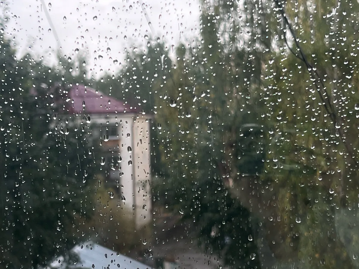 Приближается самый холодный день: Вильфанд обещает — ливни и заморозки обрушатся на россиян с 4 июня