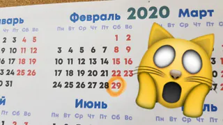 Високосный 2020-й: верят ли рязанцы, что год  металлической крысы сулит много неприятностей