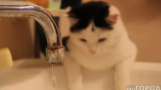 В Рязани жители трех многоэтажек на Затинной остались без отопления из-за прорыва теплосет