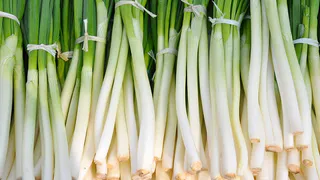 Посыпаем на грядку в конце мая — луковой мухи не будет все лето: на луке ни единого желтого перышка