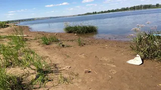 Нижнекамцы оставляют мусор на берегу водоемов
