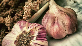 1 ложка на 10 литров воды — и чеснок растет размером с арбуз: листья никогда не пожелтеют