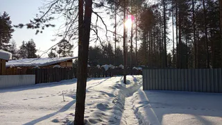 Второй зимний месяц порадует теплом: прогноз погоды в Челябинской области на 1 февраля