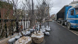 В парке Металлургов начали высаживать деревья