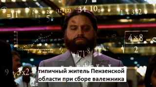 Валежник теперь можно собирать законно, но в некоторых регионах есть свои условия. А в Рязани?