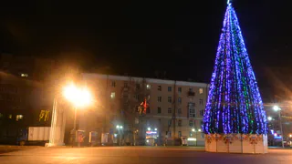 Елки Рязани: от пышных красавиц до страшилищ