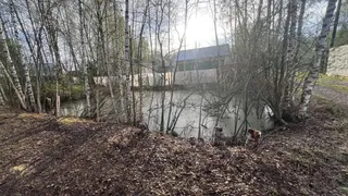 Владимирских дачников штрафуют за свалки и отсутствие водоемов на случай пожара
