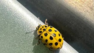 Подробный прогноз погоды в Республике Коми на 7 июня: ожидаются переменчивые условия и осадки