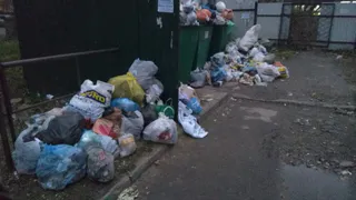 Мусорная реформа в действии: подборка жалоб рязанцев